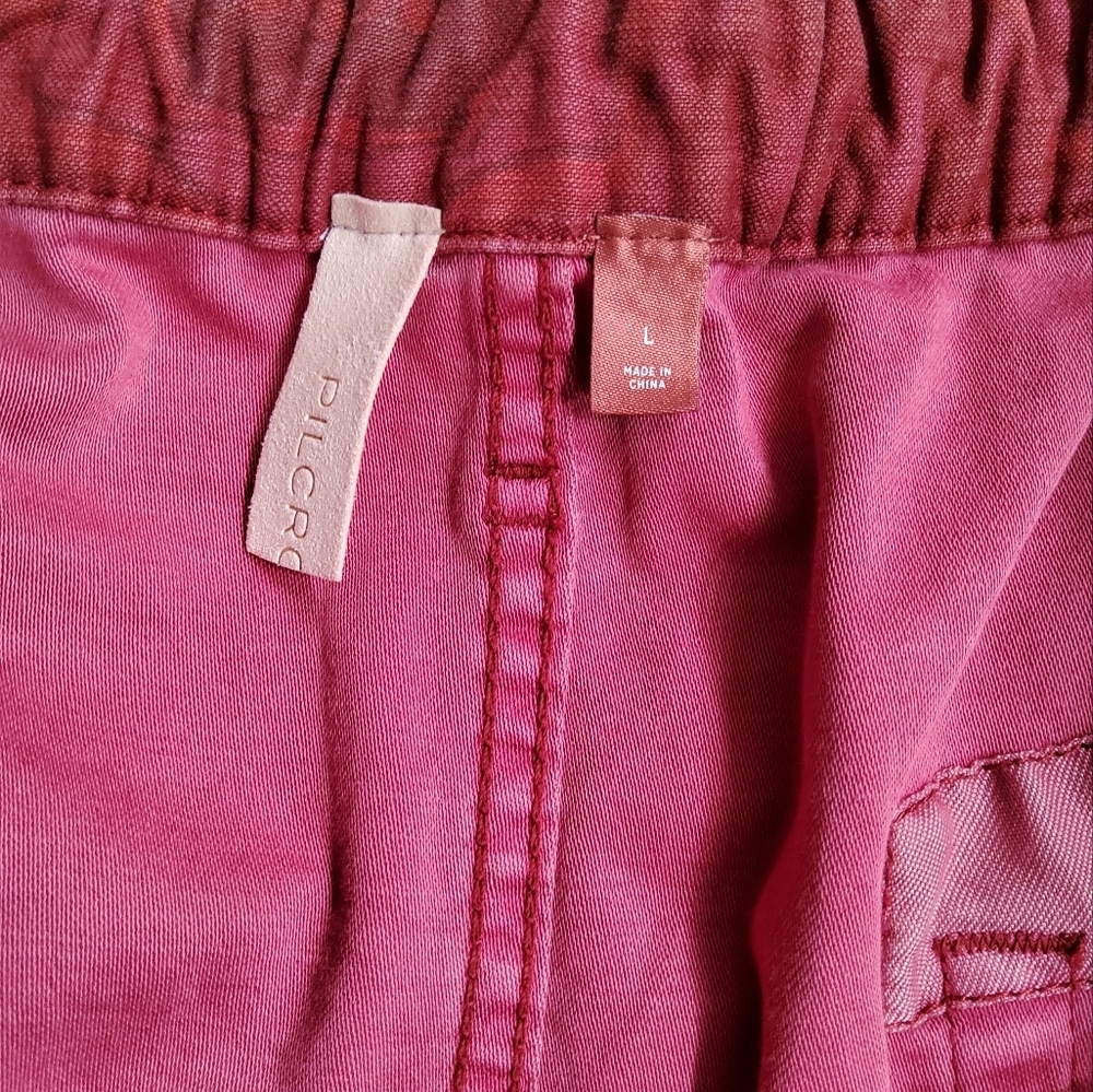 Anthropologie Pilcro The Trailblazer Pants Size L - Picture 2 of 14
